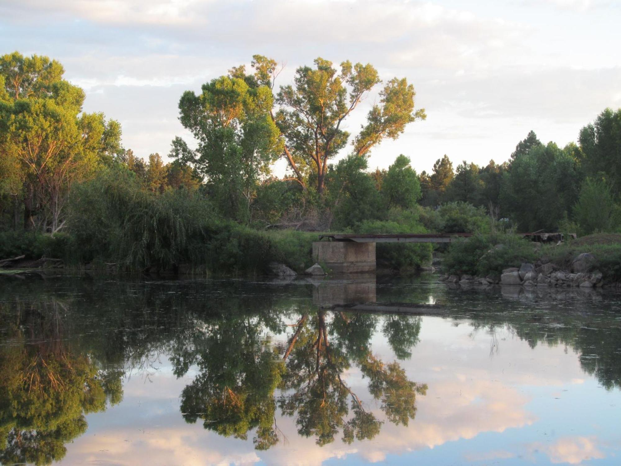 Lazy Oaks Resort Pinetop-Lakeside Bagian luar foto